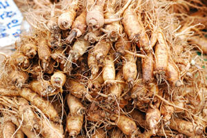 Siberian Ginseng P.E.