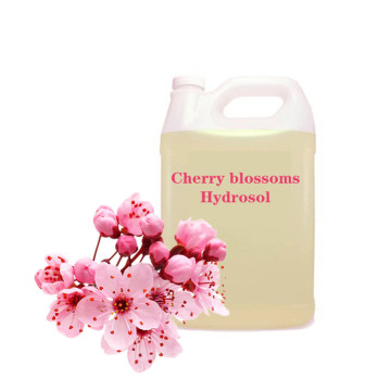 Cherry blossoms hydrosol bulk wholesale