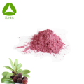 Poudre de myrte de cire de bayberry lyophilisée soluble dans l&#39;eau