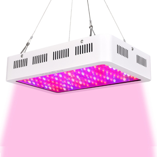 Hot Selling 2000W Led Grow Light For Indoor