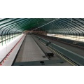 Breeder hens floor rearing system(uniform feeding)