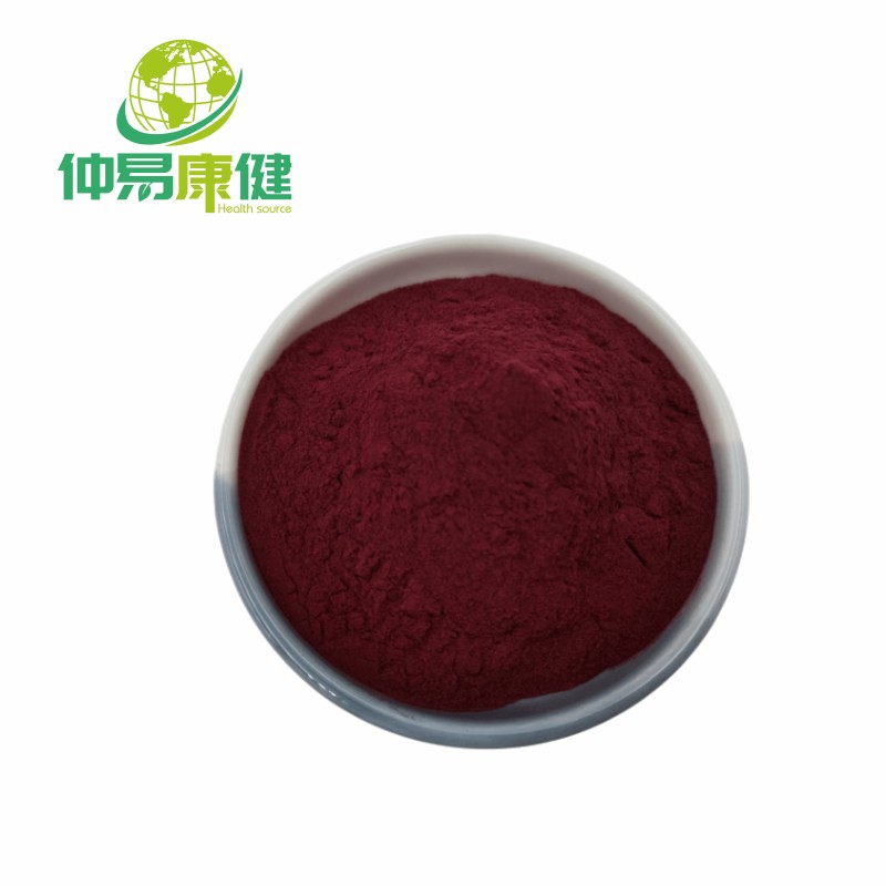 Black Elderberry Extract Anthocyanidin