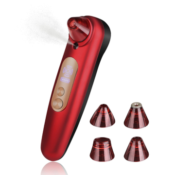 ENZO 2 in 1 Vacuum and Spray Pore Cleaner