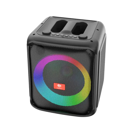 Professional Portable Outdoor DJ Par Speaker System with Bass for Karaoke Party