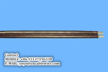 Two-core Parallel Cluster Overhead Cable