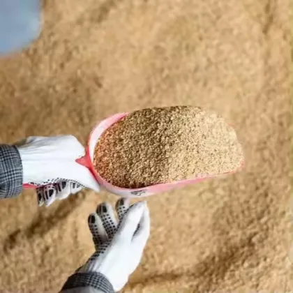 Fish Powder Fish Meal Animal Feed Fish Feed