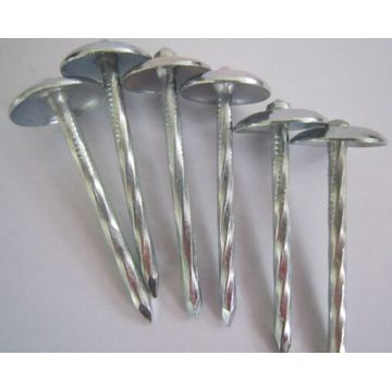 Best Galvanized Roofing Nails