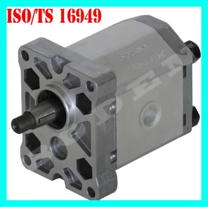 Bosch Rexroth pump,Rexroth gear pump and motor
