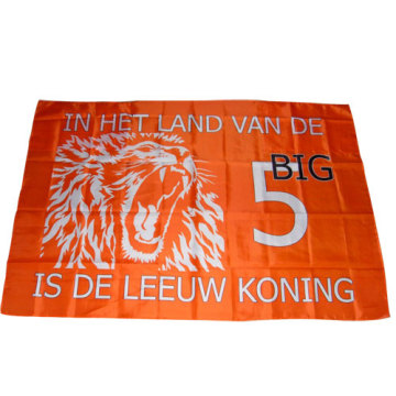 Holland-Cape-Flag