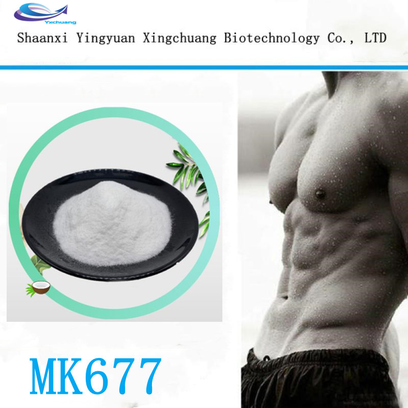 Sale supply MK677 CAS:159752-10-0 with wholesale price