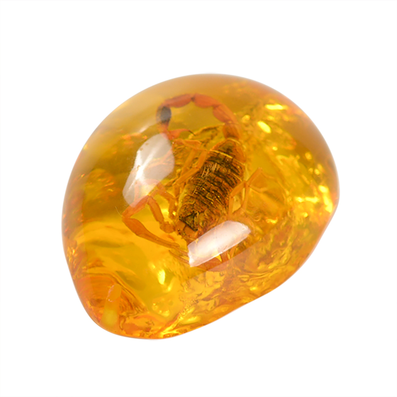 Natural Scorpions Insect Inclusion Amber Baltic Gemstone Pendant Necklace Sweater Decorations DIY Ornament Craft Gift