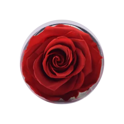 30cm Single-Stem Preserved Rose