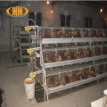Haiao High Security Poultry Cages Chicken Layer Cage