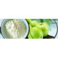 Food Grade Green Apple Fruit Juice Powder