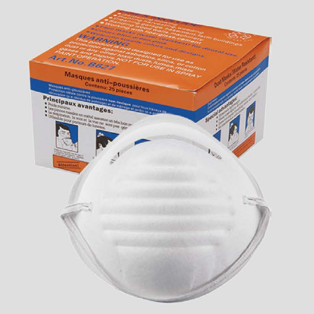 Disposable Dust Mask Dm113