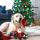 Santa Squeaky Toys for Dogs Puppy, Stuffed Dog Plush Toy