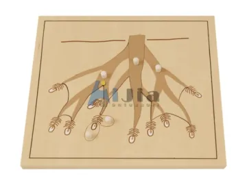 montessori toy-root puzzle