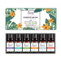 100 Conjunto de óleo de aromaterapia pura Conjunto de óleo de petróleo orgânico-10ml puro