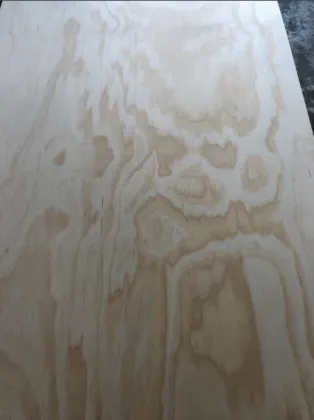 Premium Pine Plywood for Construction and Furniture