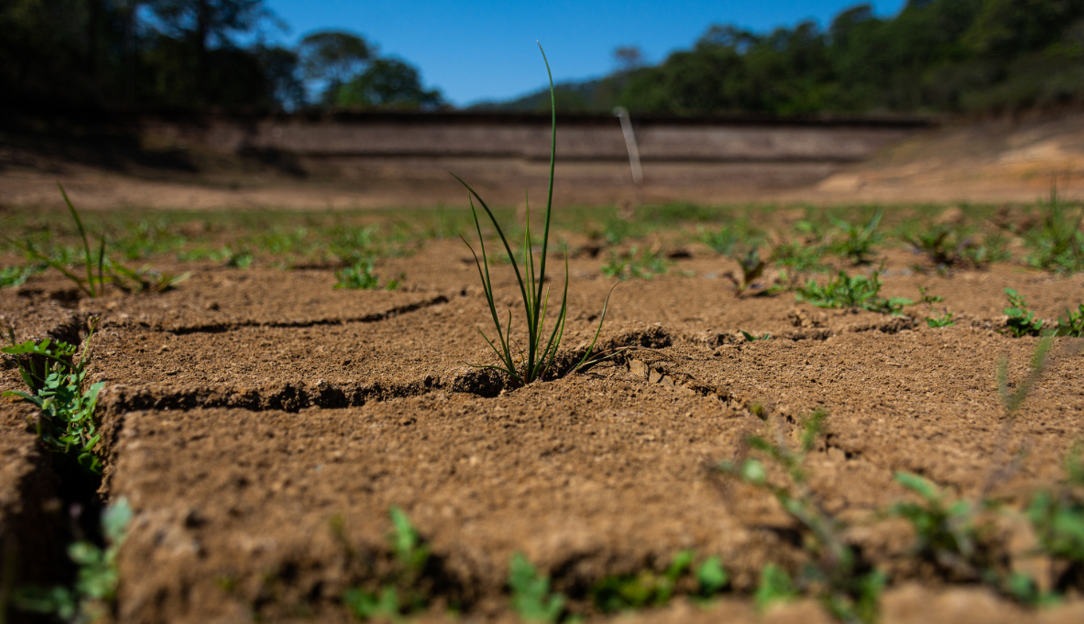 Soil Conditioner