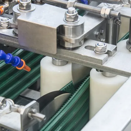 Sea Bream and Bass Fillet Processing Machine for Automatic Deboning