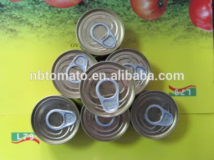 70G China Factory Hot Sell Nature Canned Tomato Paste