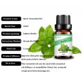 100% Natural Pure Basil Oil For Aromatherapy Use Private Label Pure Organic Hair care Essential oil