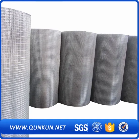 Steel Galvanized Welded Wire Mesh