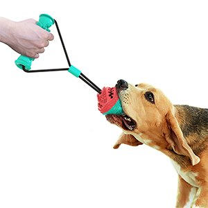 dog chew toy