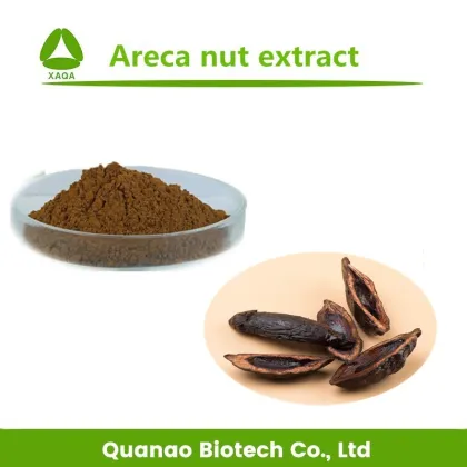 Areca Catechu Extract Arecoline Betel Nut Extract 10:1