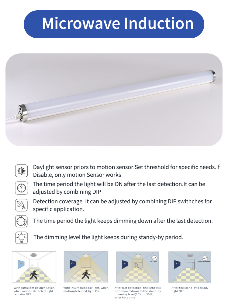 Durable IP65 Emergency Lighting Fixture
