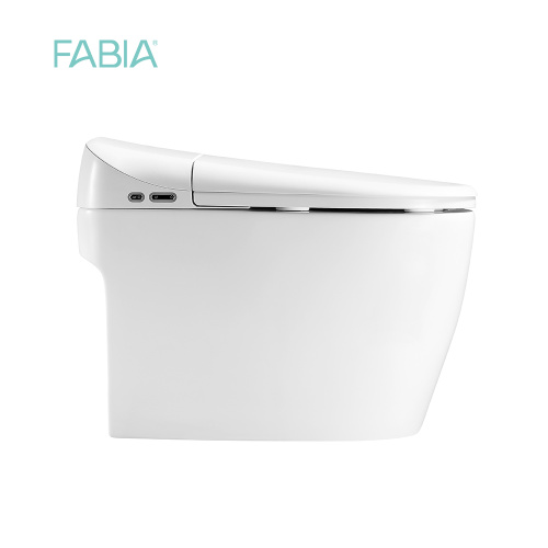 Best Full Function Wc Intelligent Toilet Bowl