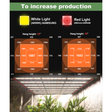 LED à haute puissance 800W pousse la lumière pour la plantation