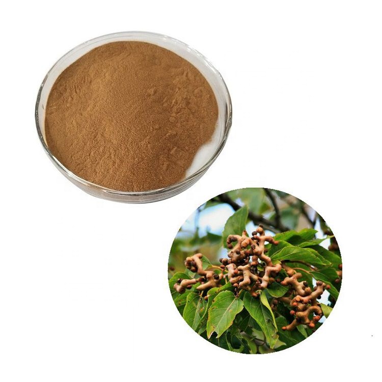 Hovenia dulcis thunb extract powder