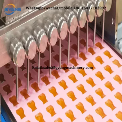 Small Tempering Chocolate Lollipop and Cream Fudge Making Machine