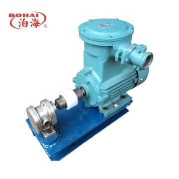 Stainless Steel Gear Pump for High Pressure Lubrication Systems - 2CY Gear Pump