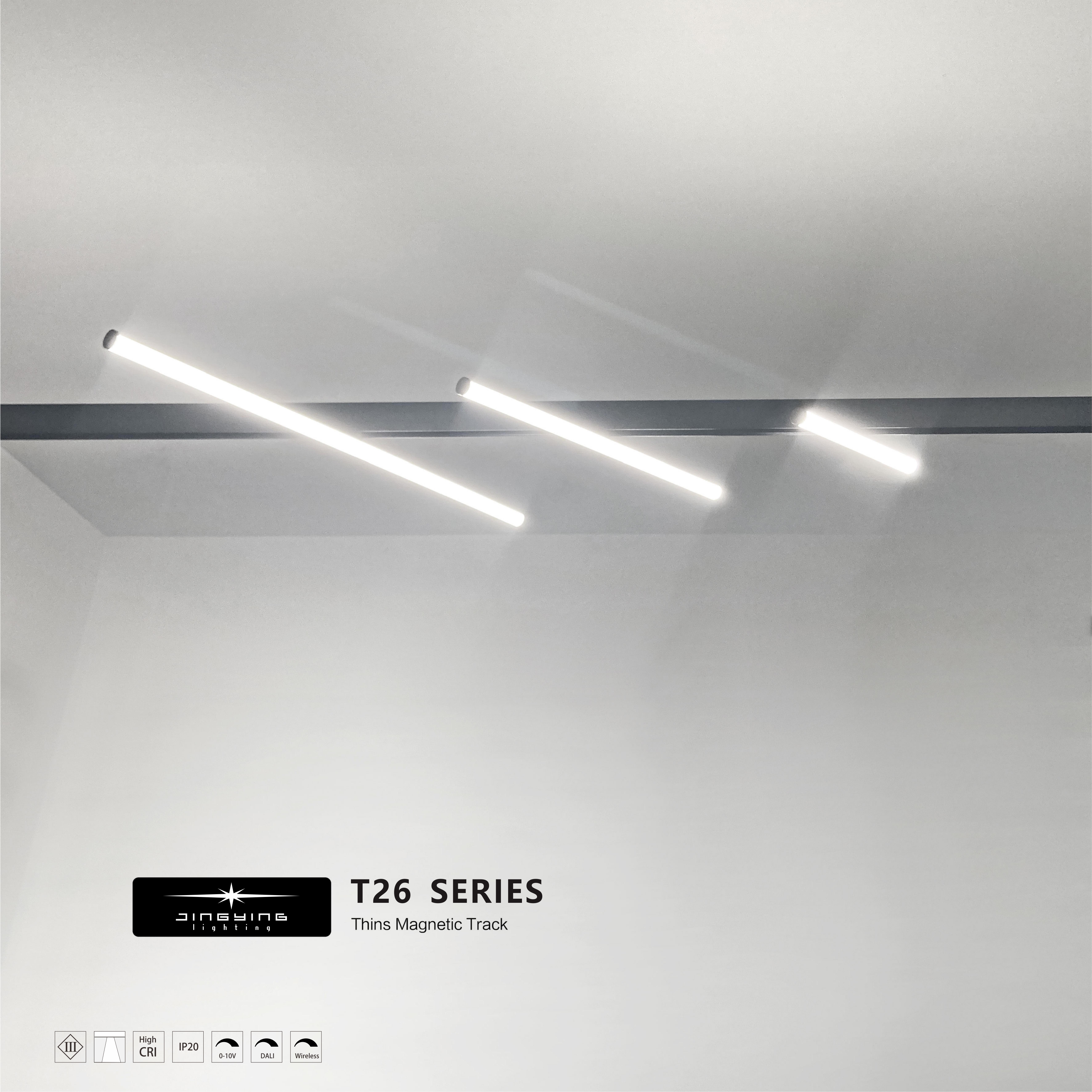 Magnetic Track Light