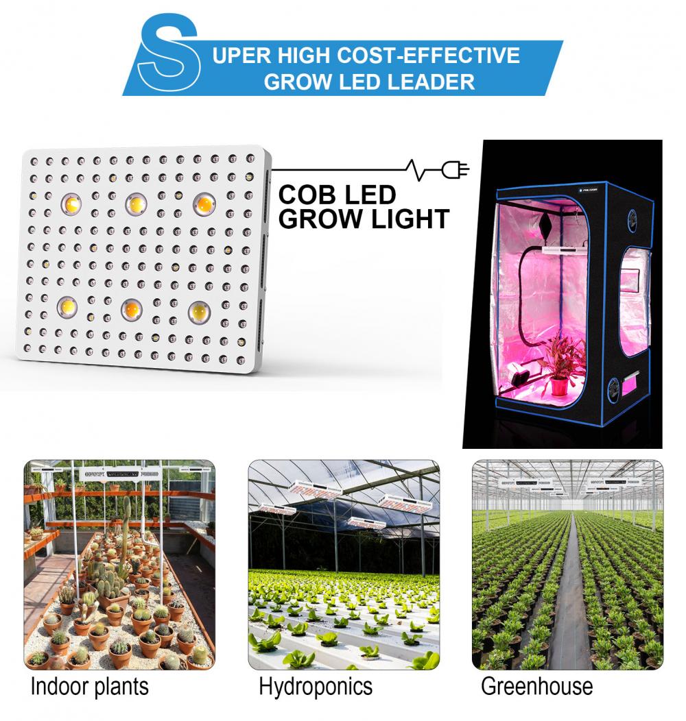 3000w LED Grow Light for Indoor Garden