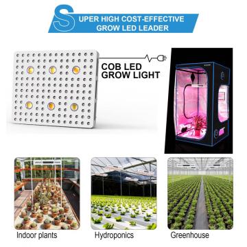 屋内の穂軸LEDは、光の高収量を増やしました