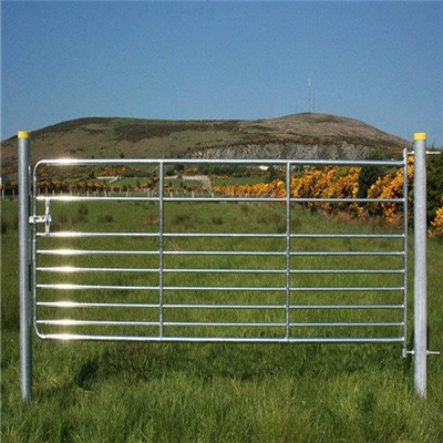 cattle fence