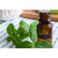 Olio essenziale di menta verde OEM