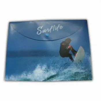 PP Folder/File Holder/Plastic File Folder, Various Colors, Sizes, and Designs are Available