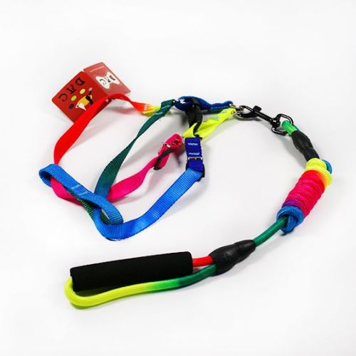 Rainbow Foam Griff Hundeleine Harness Sets