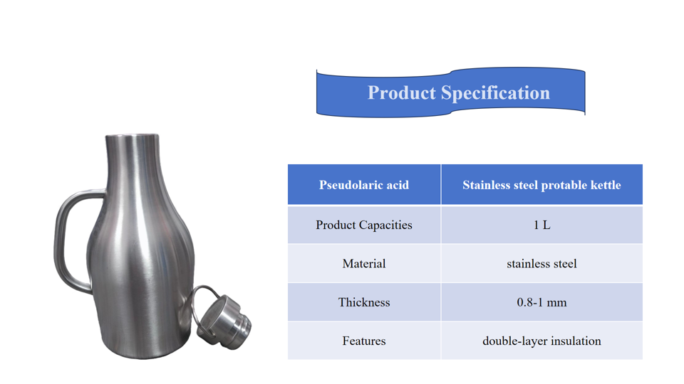 Kettle with handle 1L