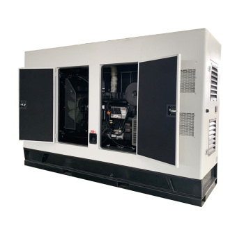 Small Biogaz CHP Systems: Prix de générateur de biogaz à 3 kW-500KW