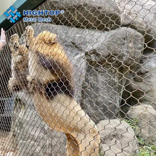 Stainless Steel Wire Rope Mesh: Safety-Driven Solutions for Aviaries and Zoos