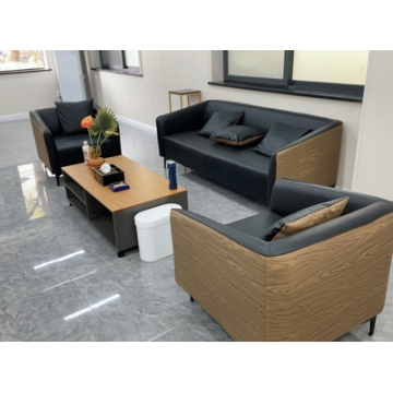 Wholesale Modern Leather Sofa 2-Seaters