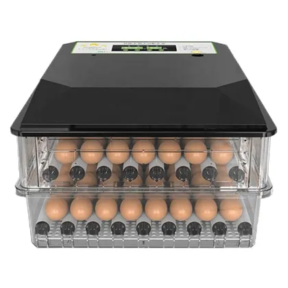 Mini Eggs Incubator for Rolling Turning Hatching Goose, Turkey, Quail, Duck, and Chicken Eggs for Sale