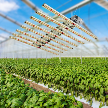 Novo produto, plantas médicas, luzes de crescimento de espectro total