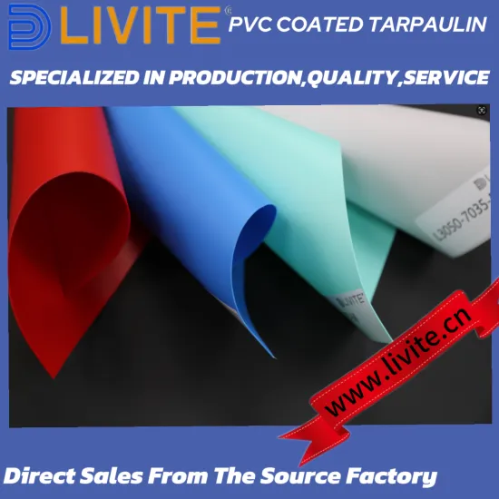 Best Quality PVC Material Rental Inflatable Jumping Castle